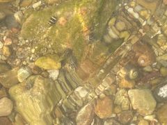 -西涌国际滨海旅游区