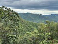 -莫干山风景区