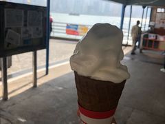 -富豪雪糕车流动点(尖沙咀店)