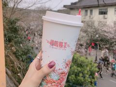 -鸡鸣赐茶(鸡鸣寺路店)