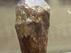 -延庆地质公园博物馆