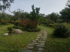 -鹅湖玫瑰文化园
