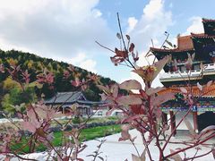 -青龙寺