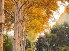 -河南省黄河迎宾馆