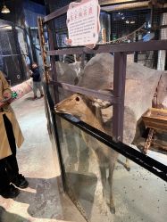 -酷嗒动物文化乐园(cutezoo西溪乐天城店)