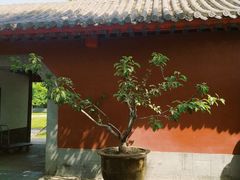 -护国法轮寺