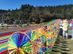 -武陵山森林公园