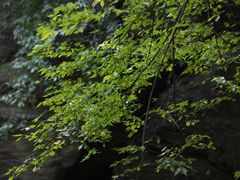 -北京上方山国家森林公园