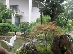 -广富林宰相府酒店·水云间