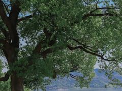 -东钱湖旅游度假区