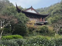 -十八棵（老龙井）御茶园(老龙井店)