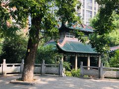 -长沙市青少年宫