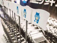 -盒马鲜生(曜一城店)