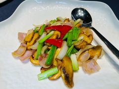 -石泉私宴