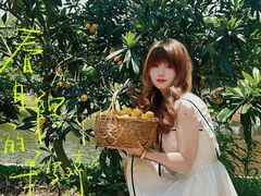 -塘栖枇杷特色园区