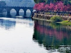 -望江楼公园