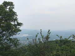 -广州市帽峰山景区