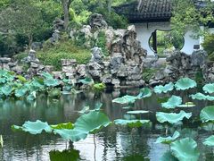 -无锡蠡湖国家湿地公园-蠡园