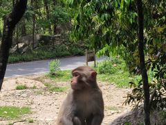 -姑婆山旅游区