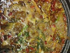 -小饕荟雅安贡椒鱼鲜馆(广福桥店)