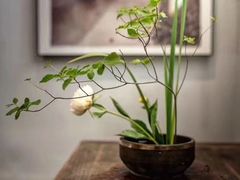 -稍可轩博物馆餐厅