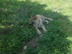 -西安秦岭野生动物园