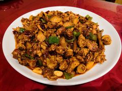 -成都美食巫山烤鱼(三里河路店)