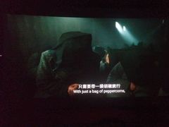 -UME影城(中国巨幕高新店)