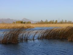 -野鸭湖国家湿地公园