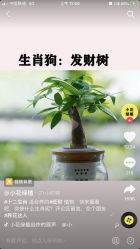 -章光101防脱养发荟
