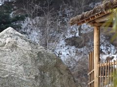 -终南山国家森林公园