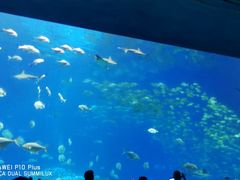 -横琴湾水世界