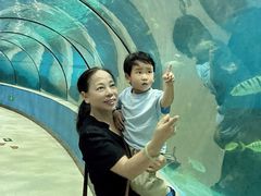 -苏州海洋馆