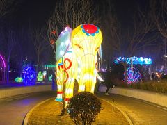 -南宫五洲植物乐园