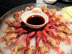 -红盔甲·小龙虾(人民广场店)