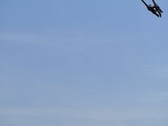 -盐城丹顶鹤湿地生态旅游区