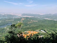 -梧桐山风景名胜区