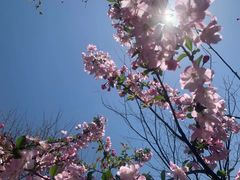 -观澜湖生态运动公社