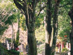 -乌山风景区