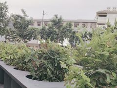 -星巴克(朵云轩店)