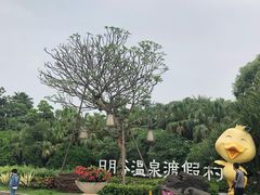 -厦门日月谷温泉渡假村