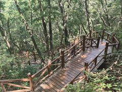 -大岭沟猕猴桃谷风景区