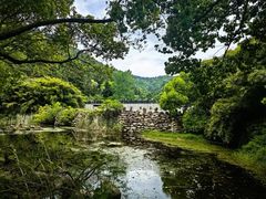 -九龙潭景区
