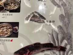 -鲜潭蒸汽石锅鱼(五道口购物中心店)