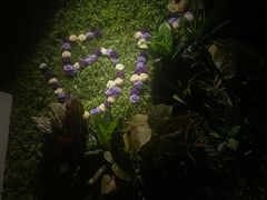 -路边摊小炉子烧烤