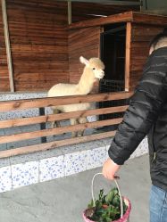 点击看大图 -可可天空农场(东部新城银泰店)