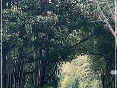 -苏州河梦清园环保主题公园