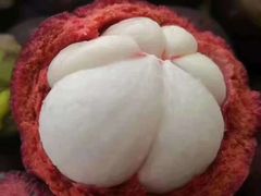 -菜园坝水果市场