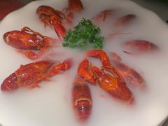 冰镇小龙虾-沪小胖小龙虾(淮海中路旗舰店)