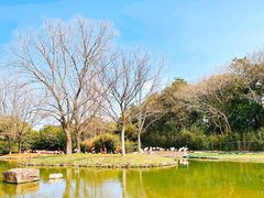 -上海野生动物园